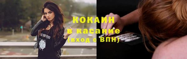 тгк Алзамай