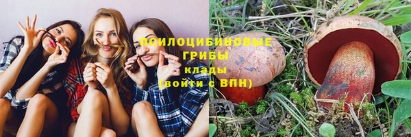 прущая мука Саяногорск