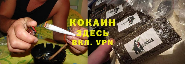 стаф Абинск
