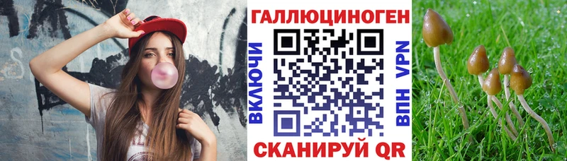 блэк спрут Заринск нарко площадка состав Галлюциногенные грибы ЛСД